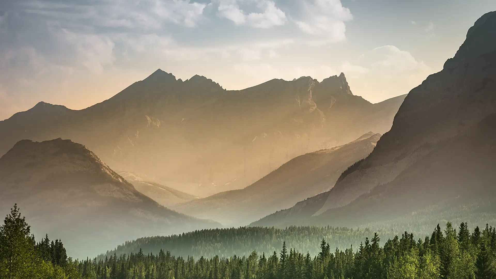 Nature image