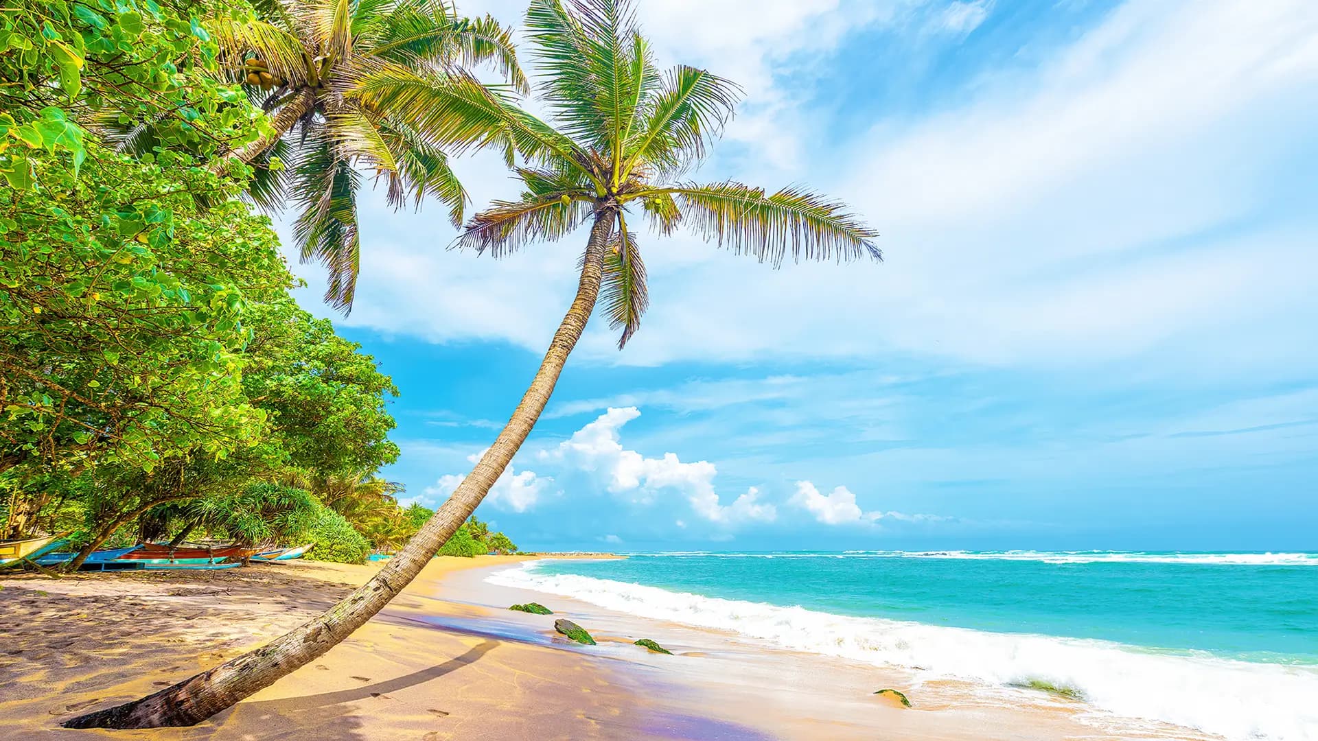 Beaches image